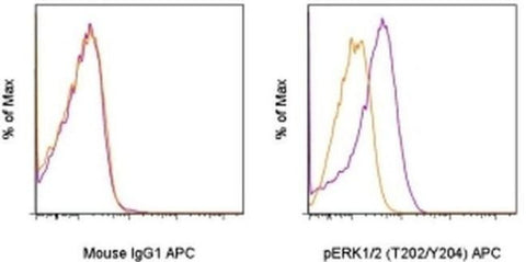 Phospho-ERK1/2 (Thr202, Tyr204) Monoclonal Antibody (MILAN8R), APC, eBioscience