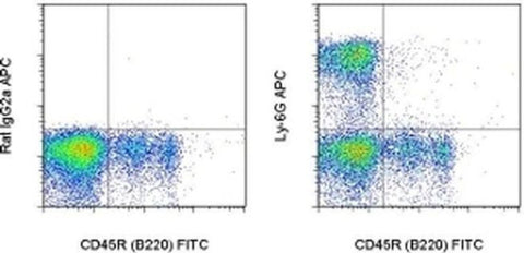 Ly-6G Monoclonal Antibody (1A8-Ly6g), APC, eBioscience