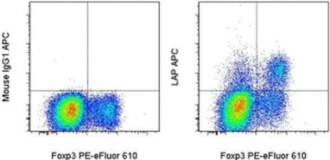 LAP (Latency Associated peptide) Monoclonal Antibody (FNLAP), APC, eBioscience