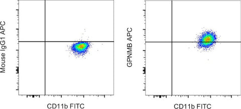 GPNMB Monoclonal Antibody (HOST5DS), APC, eBioscience