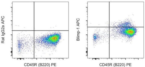 Blimp-1 Monoclonal Antibody (5E7), APC, eBioscience