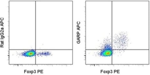 GARP Monoclonal Antibody (YGIC86), APC, eBioscience