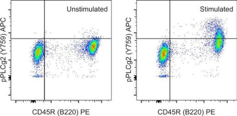 Phospho-PLCG2 (Tyr759) Monoclonal Antibody (4NPRN4), APC, eBioscience