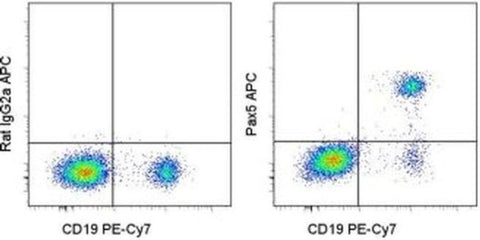 PAX5 Monoclonal Antibody (1H9), APC, eBioscience