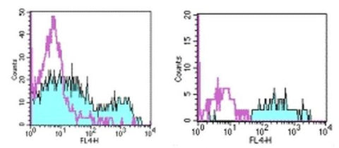 HLA-DR Monoclonal Antibody (LN3), APC, eBioscience