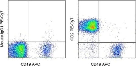 CD2 Monoclonal Antibody (RPA-2.10), PE-Cyanine7, eBioscience