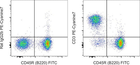 CD3 Monoclonal Antibody (17A2), PE-Cyanine7, eBioscience
