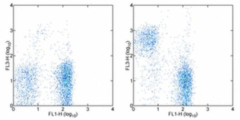 CD5 Monoclonal Antibody (53-7.3), PE-Cyanine7, eBioscience