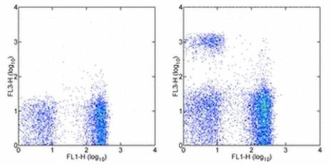 CD8a Monoclonal Antibody (53-6.7), PE-Cyanine7, eBioscience