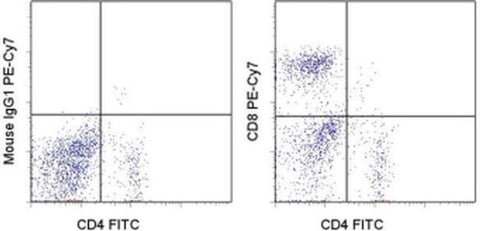 CD8a Monoclonal Antibody (OX8), PE-Cyanine7, eBioscience