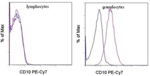 CD10 Monoclonal Antibody (eBioCB-CALLA (CB-CALLA)), PE-Cyanine7, eBioscience