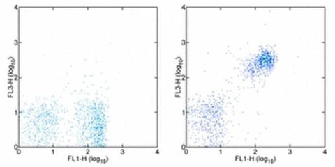 CD19 Monoclonal Antibody (eBio1D3 (1D3)), PE-Cyanine7, eBioscience