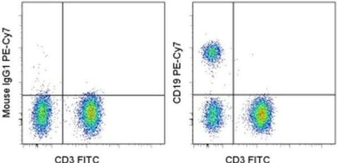CD19 Monoclonal Antibody (SJ25C1), PE-Cyanine7, eBioscience