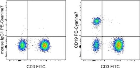 CD19 Monoclonal Antibody (HIB19), PE-Cyanine7, eBioscience