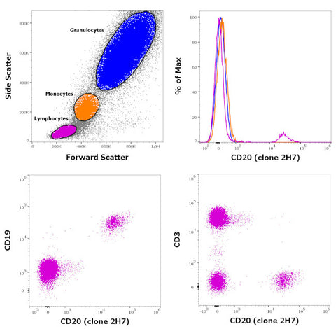 CD20 Monoclonal Antibody (2H7), PE-Cyanine7, eBioscience