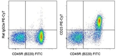 CD23 Monoclonal Antibody (B3B4), PE-Cyanine7, eBioscience