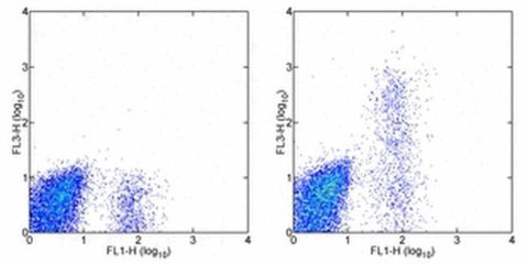 CD23 Monoclonal Antibody (EBVCS2), PE-Cyanine7, eBioscience