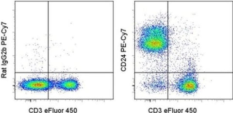 CD24 Monoclonal Antibody (M1/69), PE-Cyanine7, eBioscience
