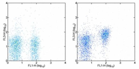 CD28 Monoclonal Antibody (37.51), PE-Cyanine7, eBioscience