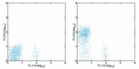 CD28 Monoclonal Antibody (CD28.2), PE-Cyanine7, eBioscience