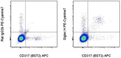 SIGLEC H Monoclonal Antibody (eBio440c), PE-Cyanine7, eBioscience