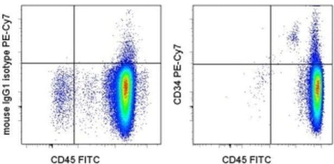 CD34 Monoclonal Antibody (4H11), PE-Cyanine7, eBioscience