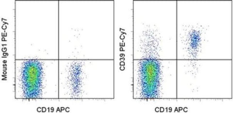 CD39 Monoclonal Antibody (eBioA1 (A1)), PE-Cyanine7, eBioscience