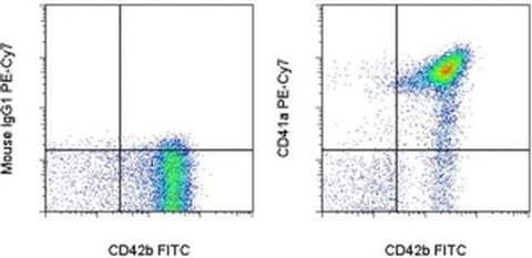 CD41a Monoclonal Antibody (HIP8), PE-Cyanine7, eBioscience