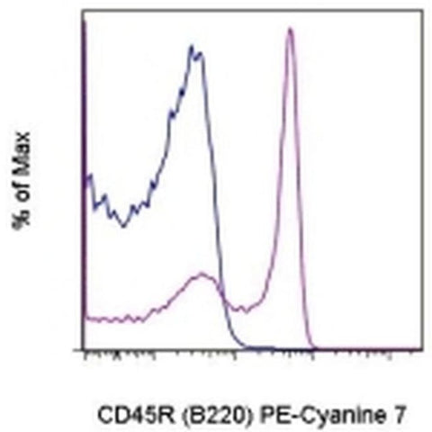 CD45R (B220) Monoclonal Antibody (HIS24), PE-Cyanine7, eBioscience