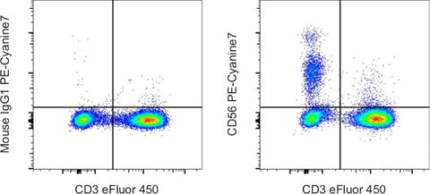 CD56 (NCAM) Monoclonal Antibody (TULY56), PE-Cyanine7, eBioscience