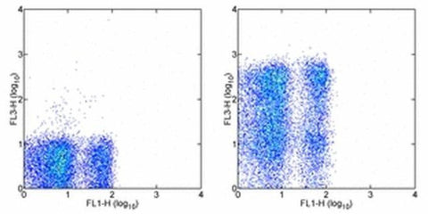 CD62L (L-Selectin) Monoclonal Antibody (MEL-14), PE-Cyanine7, eBioscience