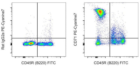 CD71 (Transferrin Receptor) Monoclonal Antibody (R17217 (RI7 217.1.4)), PE-Cyanine7, eBioscience