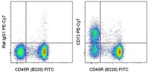 CD73 Monoclonal Antibody (eBioTY/11.8 (TY/11.8)), PE-Cyanine7, eBioscience