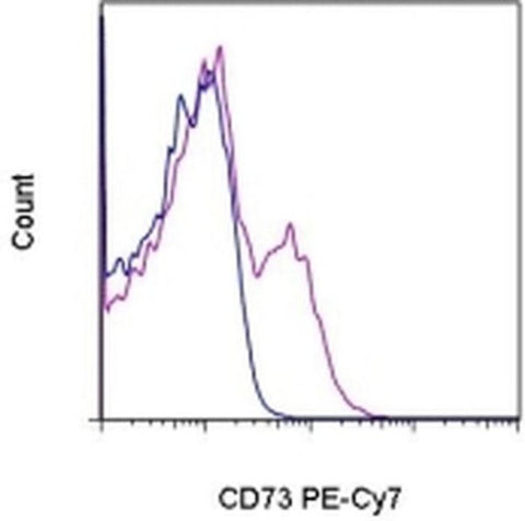 CD73 Monoclonal Antibody (AD2), PE-Cyanine7, eBioscience