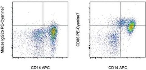 CD86 (B7-2) Monoclonal Antibody (IT2.2), PE-Cyanine7, eBioscience