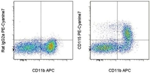 CD115 (c-fms) Monoclonal Antibody (12-3A3-1B10), PE-Cyanine7, eBioscience