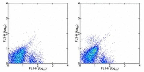 CD117 (c-Kit) Monoclonal Antibody (2B8), PE-Cyanine7, eBioscience
