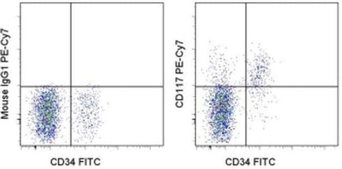 CD117 (c-Kit) Monoclonal Antibody (104D2), PE-Cyanine7, eBioscience