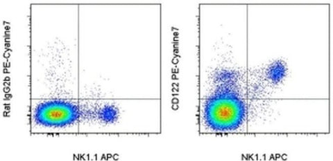 CD122 Monoclonal Antibody (TM-b1 (TM-beta1)), PE-Cyanine7, eBioscience