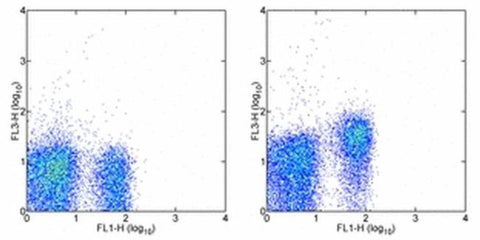 CD127 Monoclonal Antibody (A7R34), PE-Cyanine7, eBioscience
