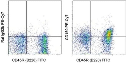 CD150 Monoclonal Antibody (mShad150), PE-Cyanine7, eBioscience