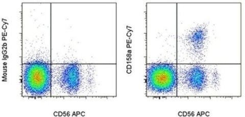 CD158a/h/g Monoclonal Antibody (HP-MA4), PE-Cyanine7, eBioscience