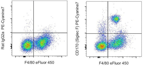 CD170 (Siglec F) Monoclonal Antibody (1RNM44N), PE-Cyanine7, eBioscience