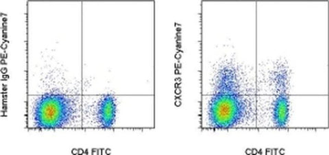 CD183 (CXCR3) Monoclonal Antibody (CXCR3-173), PE-Cyanine7, eBioscience
