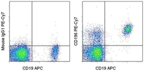 CD196 (CCR6) Monoclonal Antibody (R6H1), PE-Cyanine7, eBioscience