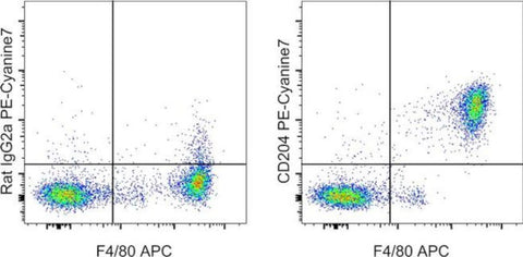 CD204 Monoclonal Antibody (M204PA), PE-Cyanine7, eBioscience