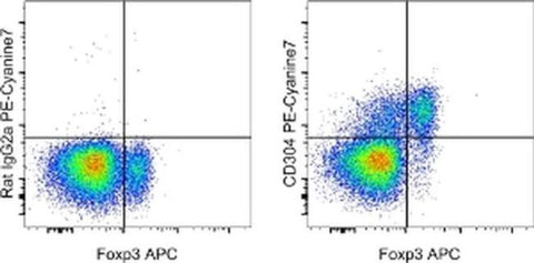 CD304 (Neuropilin-1) Monoclonal Antibody (3DS304M), PE-Cyanine7, eBioscience