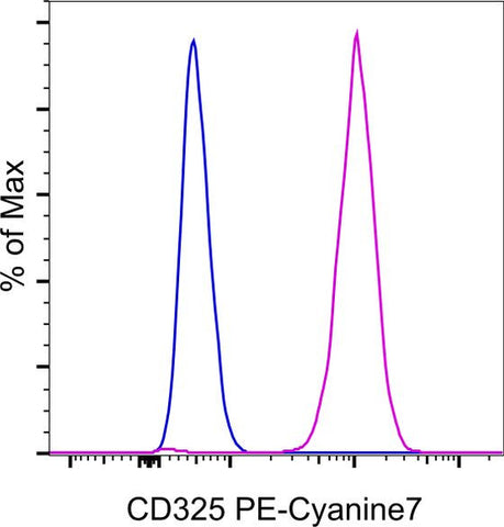 CD325 (N-Cadherin) Monoclonal Antibody (8C11), PE-Cyanine7, eBioscience