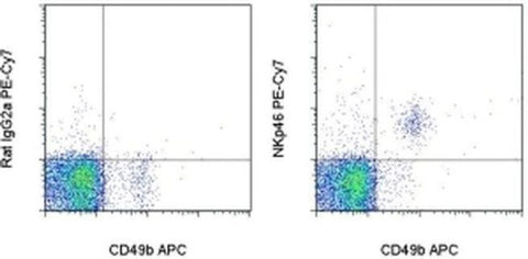 CD335 (NKp46) Monoclonal Antibody (29A1.4), PE-Cyanine7, eBioscience