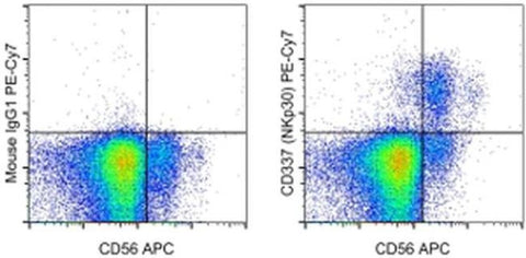CD337 (NKp30) Monoclonal Antibody (AF29-4D12), PE-Cyanine7, eBioscience
